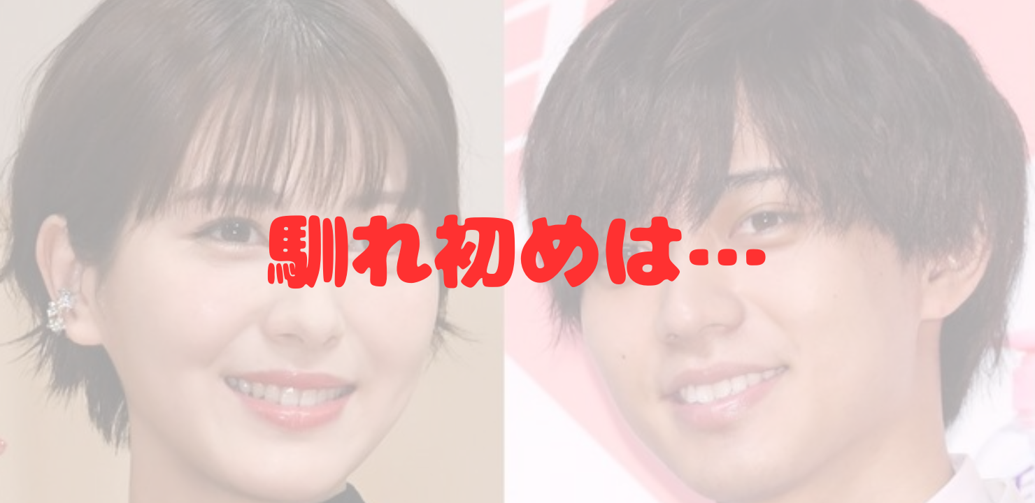 浜辺美波　永瀬廉　馴れ初め　デート　好きなタイプ　顔の輪郭　藤木直人　共演　共通の知人　紹介　大河ドラマ　豊臣兄弟　キンプリ　24時間テレビ　結婚　可能性　結婚願望