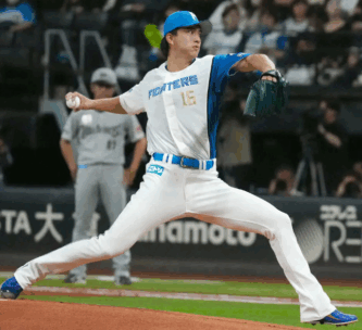 達孝太　北川景子　似てる　似ている　画像比較　日ハム　日本ハム　北海道日本ハム　目　目元　目尻　眉　眉毛　鼻　鼻筋　涙袋　輪郭