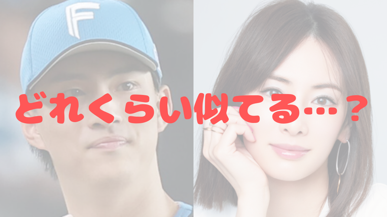 達孝太　北川景子　似てる　似ている　画像比較　日ハム　日本ハム　北海道日本ハム　目　目元　目尻　眉　眉毛　鼻　鼻筋　涙袋　輪郭